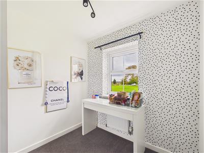 Picture 11